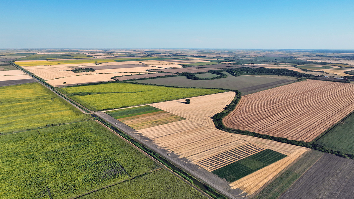logineko farm test fields 