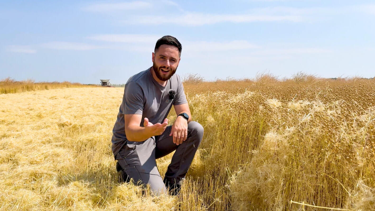 How to Harvest Organic Flax: Risks, Setups, and Lessons Learned