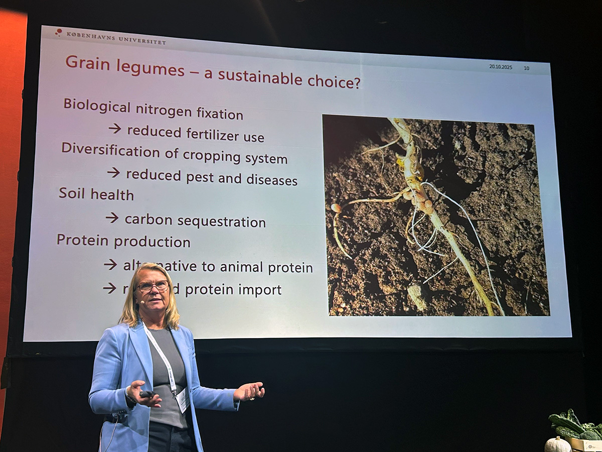 grain legumes presentation plant food summit