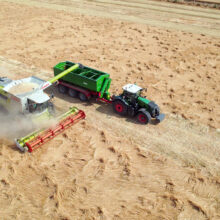 harvesting oats at logineko