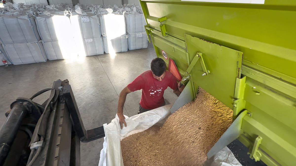 receiving oats in storage