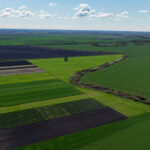 logineko large-scale organic farm