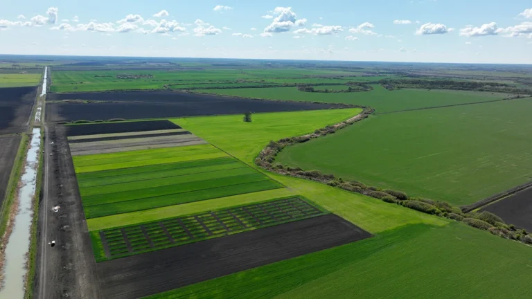 2025 at LoginEKO: Building Large-Scale Organic Farming That Works