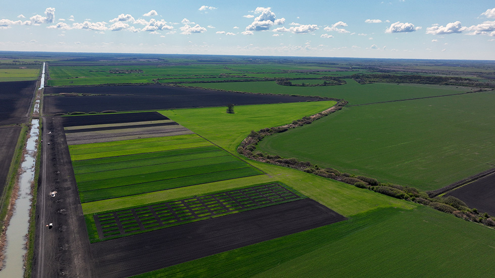 logineko large-scale organic farm