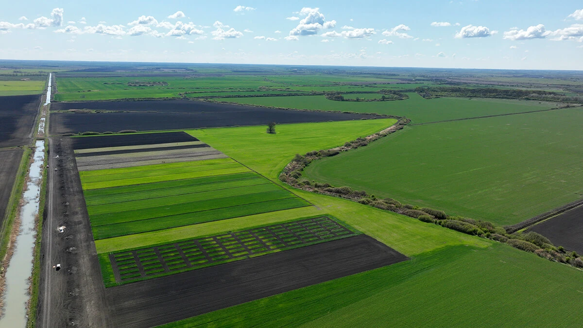 2025 at LoginEKO: Building Large-Scale Organic Farming That Works