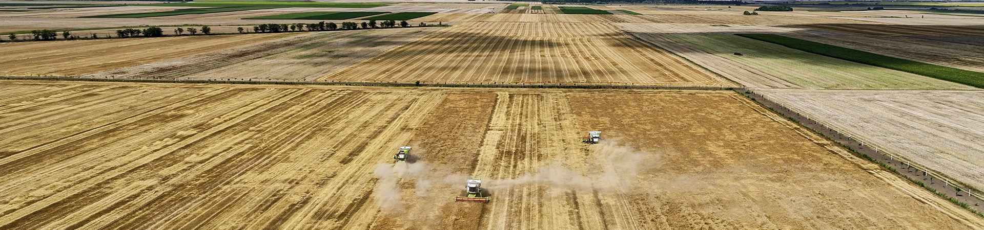 Large-Scale Organic Farming Yields