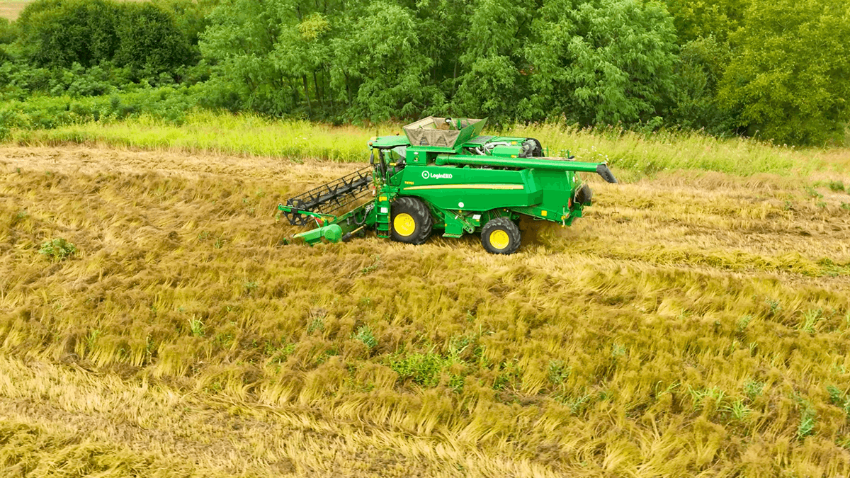 john deere combine harvesting organic flax
