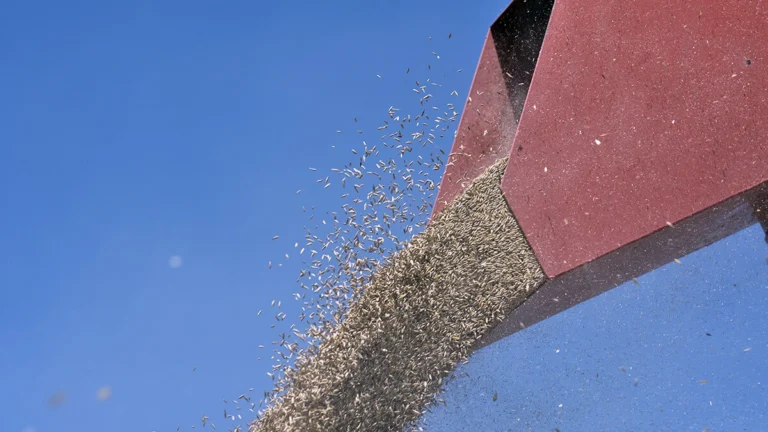 Organic Farming at Scale: What the 2025 Harvest Results Show