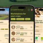 the origin marketplace