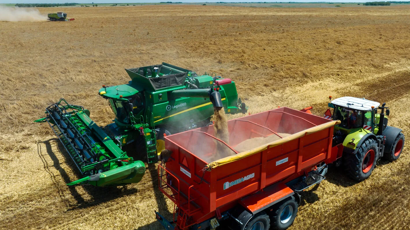 Organic Crop Prices: How Certification Boosts Farm Revenue