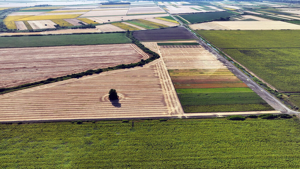 Aerial view of large-scale certified organic arable fields in Vojvodina, Serbia, separated by tree lines and grass buffer strips