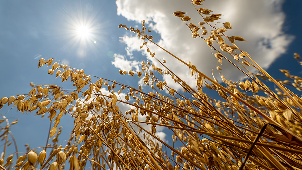 LoginEKO renews EU Organic certification for 2026